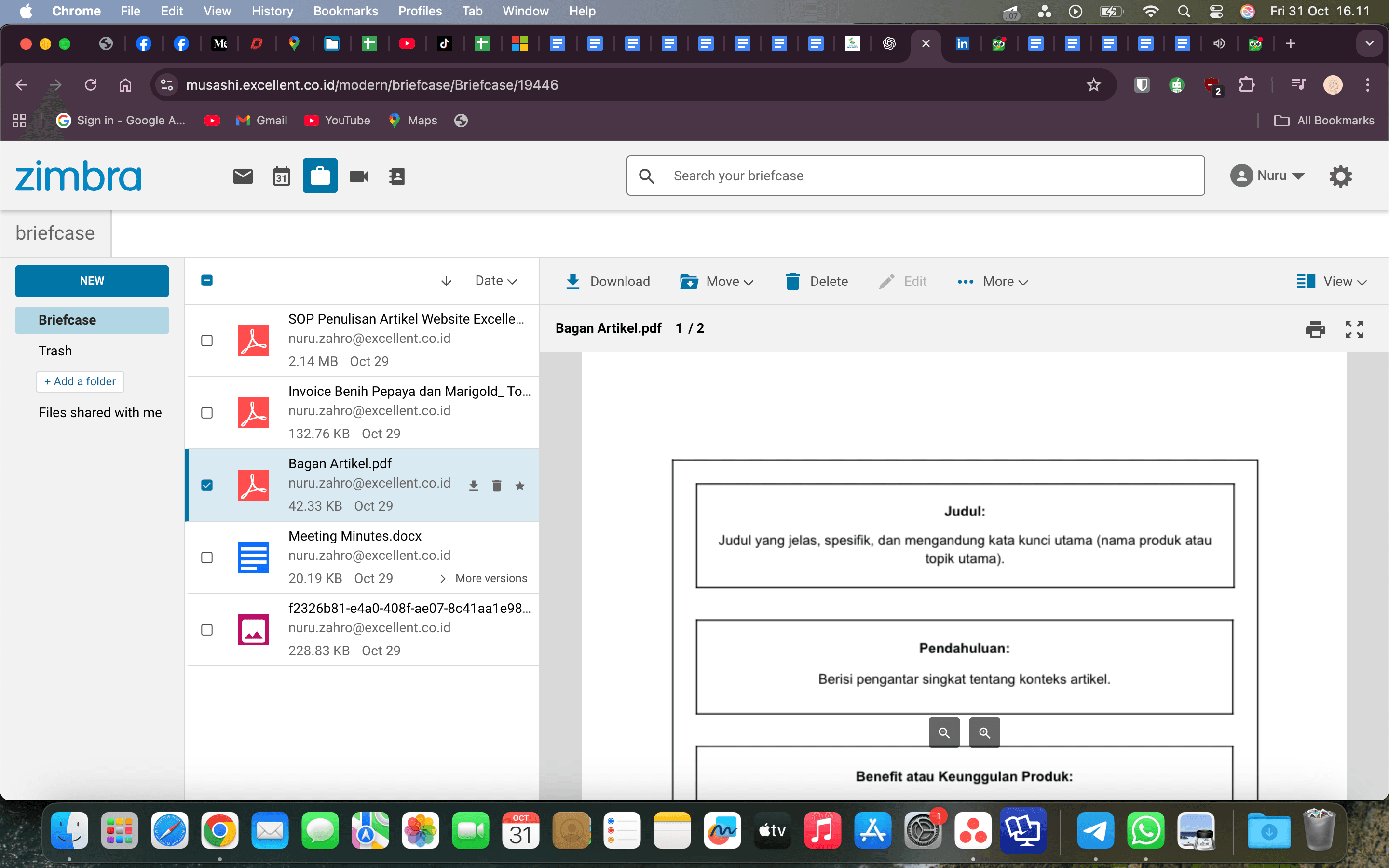 Zimbra: Briefcase Feature